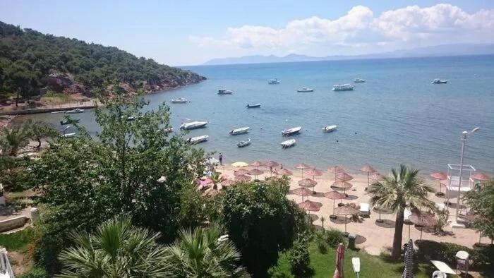 Leone Natural Ayvalı Dış mekan fotoğraf